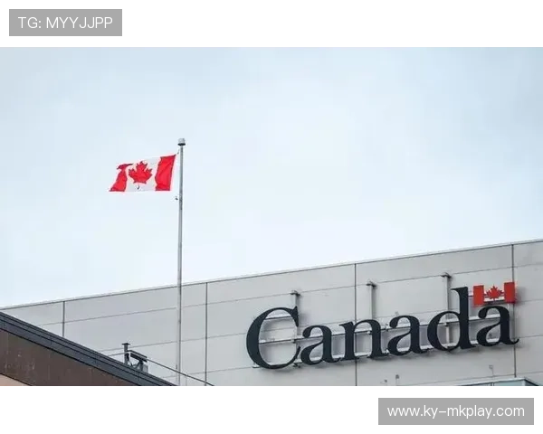 加拿大的小组讨论度跃升，部分媒体认为其有望造成冲击