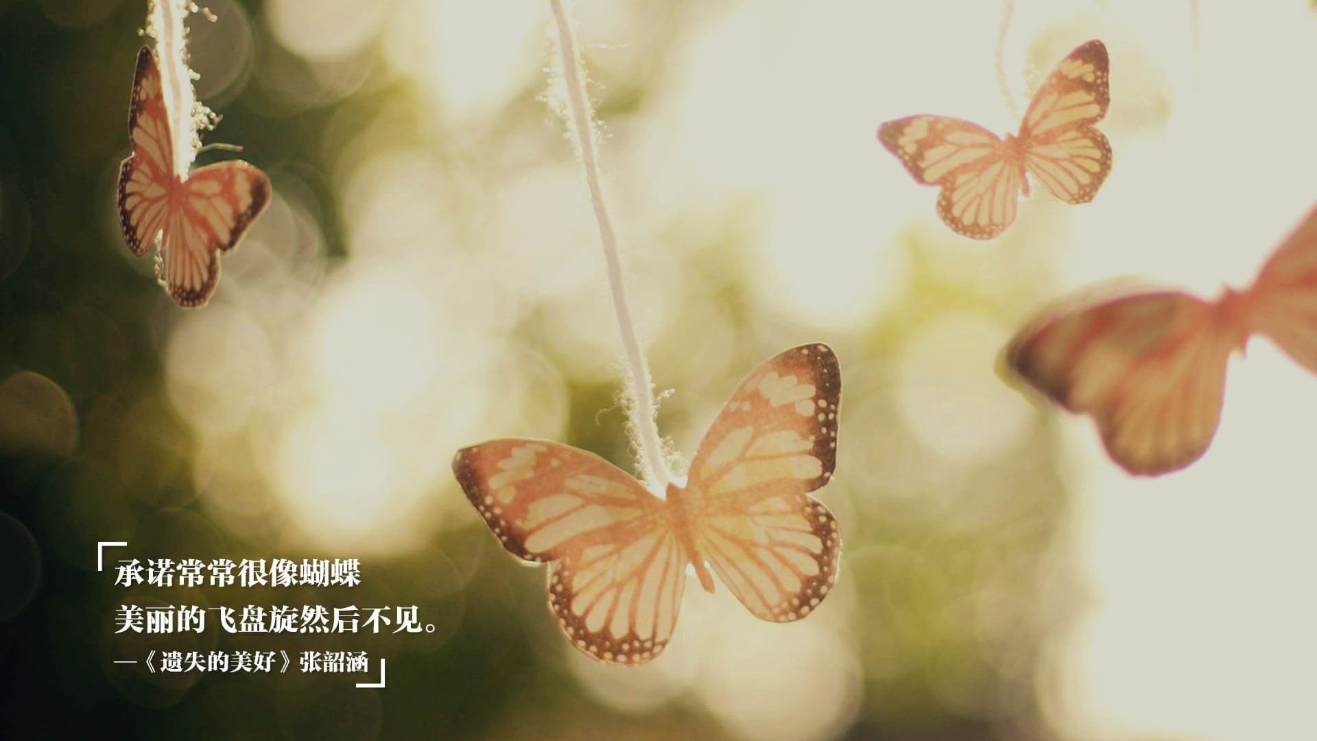 mk电竞-快节奏对阵容平均年龄的要求是否更高，快节奏是什么