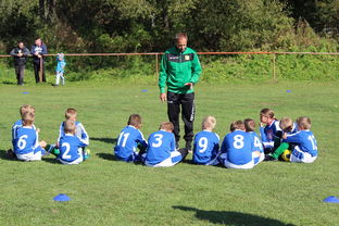 mk sports 体育-替补席能否发挥稳定战术执行能力影响赛季后期，替补席是什么意思